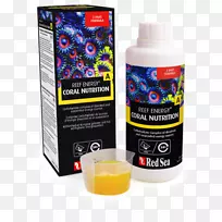 红海珊瑚礁能源红海珊瑚r 22093礁能b,氨基酸营养,500毫升膳食补充剂-海珊瑚-空若网 红海珊瑚礁能源红海珊瑚r 22093礁能b,氨基酸营养,500毫升膳食补充剂-海珊瑚-空若网