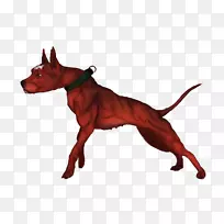 犬种鼻犬-空若网 犬种鼻犬-空若网