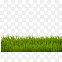 草坪桌面壁纸夹艺术-草-空若网 草坪桌面壁纸夹艺术-草-空若网