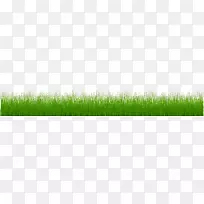 ţ�ξ��ݣ���ݣ���ƺ��-������