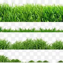 草坪电脑图标剪贴画草-空若网 草坪电脑图标剪贴画草-空若网