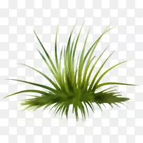 ��ƺ������-��-������