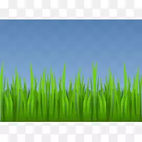 草坪草剪贴画-草-空若网 草坪草剪贴画-草-空若网