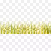 ²ÝÀà²Ýƺ¼ôÌù»-²Ý-¿ÕÈôÍø ²ÝÀà²Ýƺ¼ôÌù»-²Ý-¿ÕÈôÍø