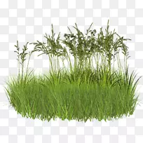 ³ý²Ý¼ÁÔӲݼôÌù»-²Ý-¿ÕÈôÍø ³ý²Ý¼ÁÔӲݼôÌù»-²Ý-¿ÕÈôÍø