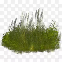 �ݼ�����-��-������