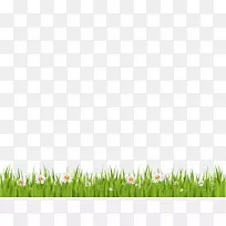 下载剪贴画-草-空若网 下载剪贴画-草-空若网