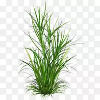 ����Ұ���������-��-������