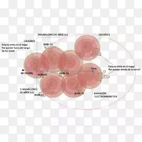 产品设计粉红m短信.心形云-空若网 产品设计粉红m短信.心形云-空若网