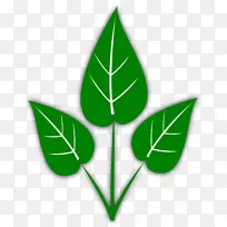 Ҷ���ͼ�����-��Ҷ-������