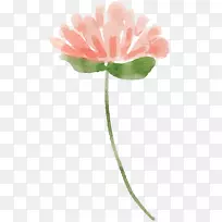 剪贴画水彩画png图片花瓣-花卉名片,业务-空若网 剪贴画水彩画png图片花瓣-花卉名片,业务-空若网
