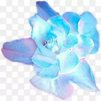 �����Լ������Ļ������Լ�������仨-������