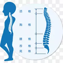 ����������׵ͼ����׵-17����-������