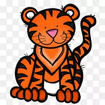 动物园动物教育老虎-常见核心附加问题-空若网 动物园动物教育老虎-常见核心附加问题-空若网