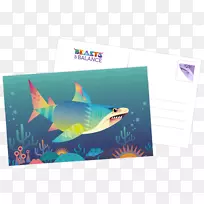 动物群海洋生物鱼类-让爱过去-空若网 动物群海洋生物鱼类-让爱过去-空若网