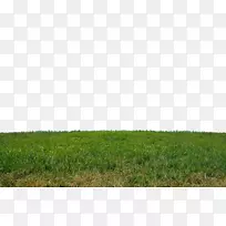 ��ƺ�ݡ���ԭ�����ء��ݵ�-���˲�-������