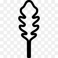 ������������ɫ����-arugula-������