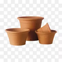 ���������;��մɺ�-������