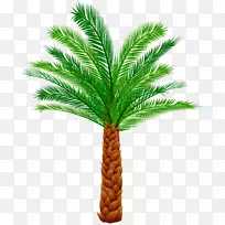 ���ƿ�ֲ�������-�����-������