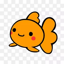 摄影桶视频动画图像.材料-空若网 摄影桶视频动画图像.材料-空若网