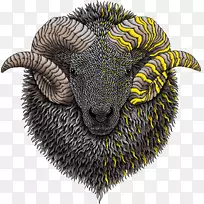 昆虫翼鼻陆生动物.介质-空若网 昆虫翼鼻陆生动物.介质-空若网