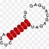 剪贴画爱情手镯爱你自己:她-生物科学-空若网 剪贴画爱情手镯爱你自己:她-生物科学-空若网