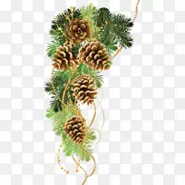 博客LiveInternetAlbom剪贴画-松果-空若网 博客LiveInternetAlbom剪贴画-松果-空若网