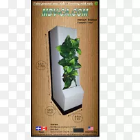 花盆室内植物叶草本植物短信.墙壁植物-空若网 花盆室内植物叶草本植物短信.墙壁植物-空若网