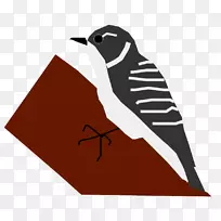 剪贴画动物羽毛-绝密字体名称-空若网 剪贴画动物羽毛-绝密字体名称-空若网