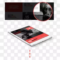 ��Ʒ��ƶ�ý��ͼ��Ʒ��С�����Ű洫��-������