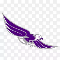 剪贴画产品设计紫色线-蓝鹰标志-空若网 剪贴画产品设计紫色线-蓝鹰标志-空若网