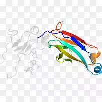 ��������Ʒ������л�����-������