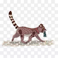 大猫陆生动物野生动物-猫-空若网 大猫陆生动物野生动物-猫-空若网