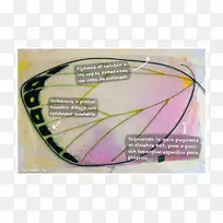 ��Ʒ�����ж���-Caro-������