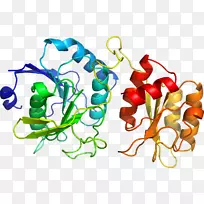 �������л���ֲ���߶���.ԭ��ģ��ʱ����-������