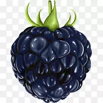 ��ݮˮ��������-��ݮ-������