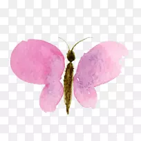 蝴蝶水彩画花水彩画剪贴画蓝莓-空若网 蝴蝶水彩画花水彩画剪贴画蓝莓-空若网