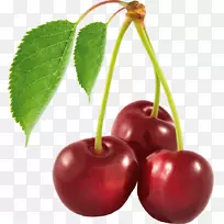 ÌðÓ£ÌÒÆÏÌÑÌÒÓ£ÌÒ-¿ÕÈôÍø ÌðÓ£ÌÒÆÏÌÑÌÒÓ£ÌÒ-¿ÕÈôÍø