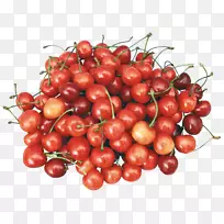 ÌðÓ£ÌÒ-¿ÕÈôÍø ÌðÓ£ÌÒ-¿ÕÈôÍø