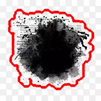 �����ֽ������Ժ�ɫ����-qt-������