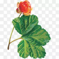 ������ӣ����-������