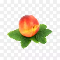 ��ͯ��ˮ�����߲�ʳƷͼ��ͼ��.�߲�-������