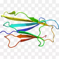 �������ߵ��Ʒֲ�ﾥ��-������