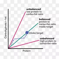 文件线角短信品牌均衡饮食-空若网 文件线角短信品牌均衡饮食-空若网