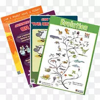 ֽ�����Ʒ����.������������-������