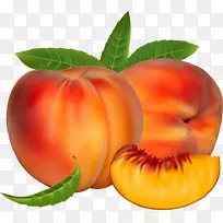 水果插画-桃子-空若网 水果插画-桃子-空若网