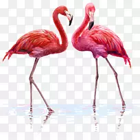 »ðÁÒÄñ¼ôÌù»Í¼Æ¬Ë®²Ê»-»ðÁÒÄñ-¿ÕÈôÍø »ðÁÒÄñ¼ôÌù»Í¼Æ¬Ë®²Ê»-»ðÁÒÄñ-¿ÕÈôÍø