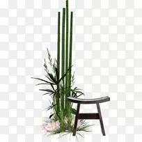 »¨Åè²Ý£¬Ö²Îï¾¥-ÖñËñ¡£-¿ÕÈôÍø »¨Åè²Ý£¬Ö²Îï¾¥-ÖñËñ¡£-¿ÕÈôÍø