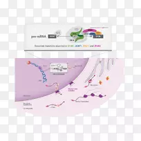 ����ҽѧ��ѧ����ҽѧ����ѧ����ҽѧ����-ϸ��-������