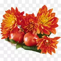 紫苏花秋季-柿子-空若网 紫苏花秋季-柿子-空若网